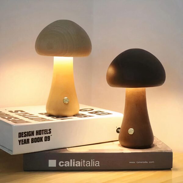 Lampe en bois champignon, allumée, posée sur des livres, sur fond gris.
