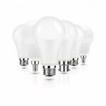 6 ampoules disposées en perspective sur fond blanc
